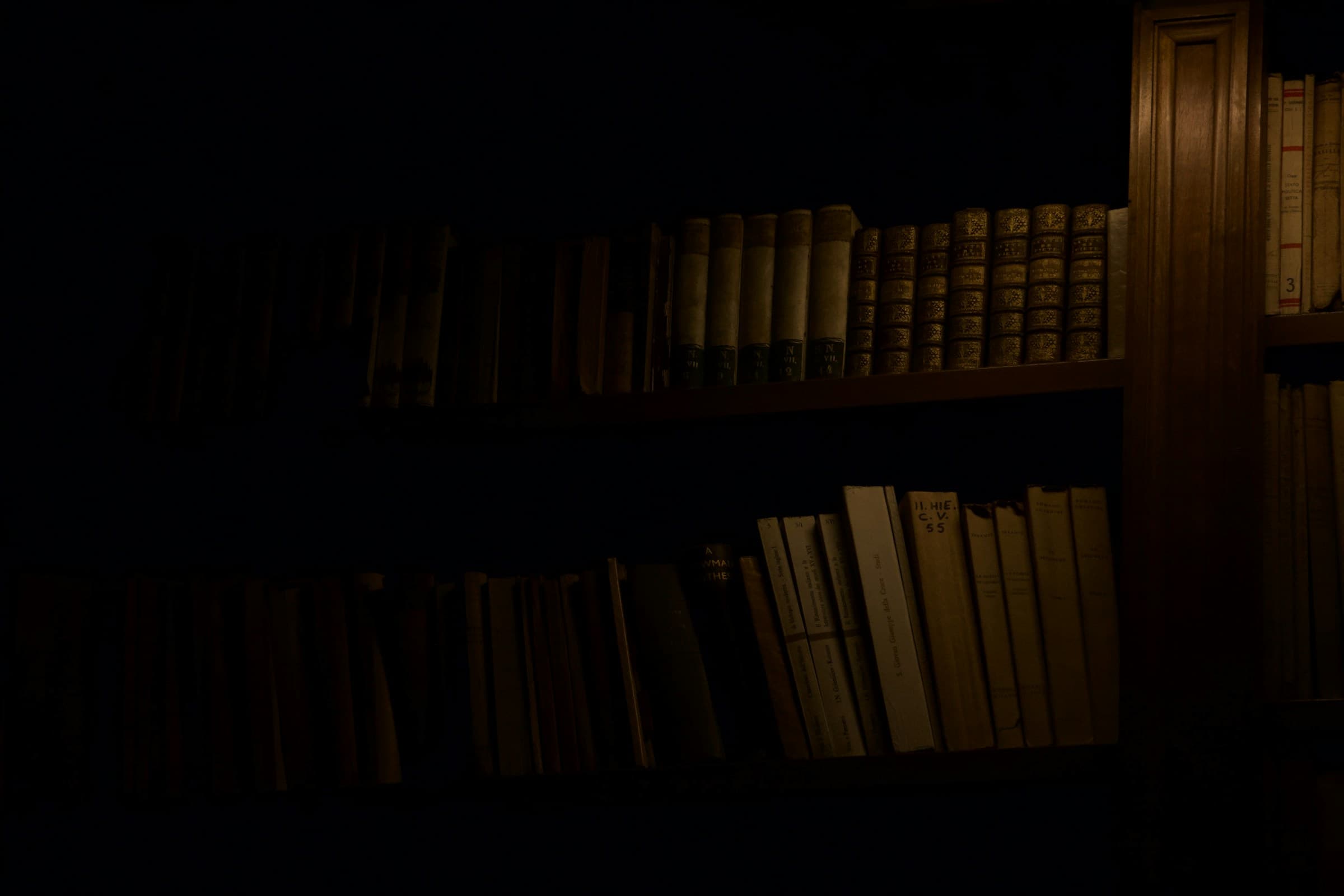Leather bound legal volumes glowing softly on a dark library shelf.